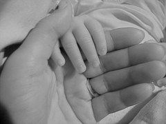 Adult hand holding infant's hand